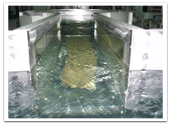 Water flowing in the test section
